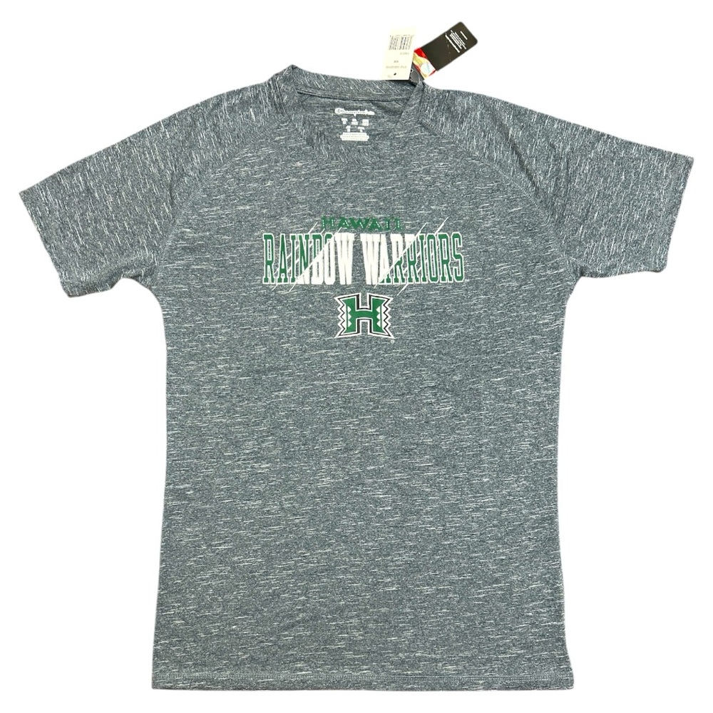 Gray  Rainbow Warriors T-Shirt